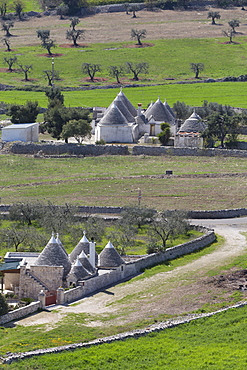 Traditional trullos (trulli) in the countryside near Alberobello, Puglia, Italy, Europe