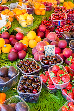 Fruit for sale in Mercato di Campo de Fiori, Rome, Lazio, Italy, Europe