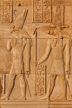 Relief carving in the ancient Egyptian Temple of Kom Ombo near Aswan, Egypt, North Africa, Africa