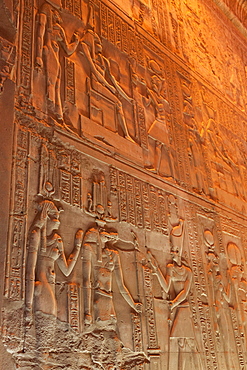 Relief carving in the ancient Egyptian Temple of Kom Ombo near Aswan, Egypt, North Africa, Africa