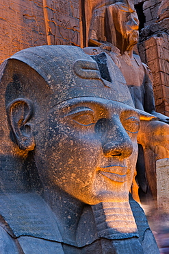 Statue in the ancient Egyptian Luxor Temple at night, Luxor, Thebes, UNESCO World Heritage Site, Egypt, North Africa, Africa