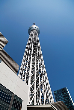 Looking up at Tokyo Skytree tower, Tokyo, Japan, Asia