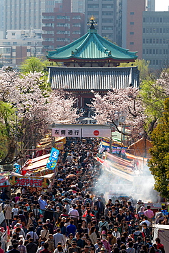 Crowds enjoying the food stalls at Ueno Park, Tokyo, Japan, Asia