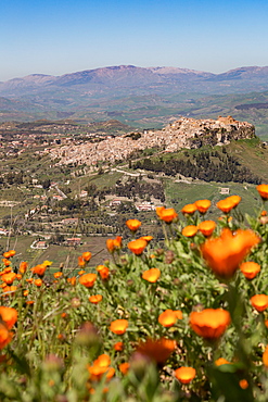 The small hill town of Calascibetta seen from Enna, Sicily, Italy, Europe