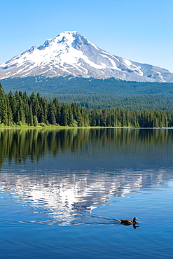 Mount Hood, part of the Cascade Range, perfectly reflected in the still waters of Trillium Lake, Oregon, United States of America, North America