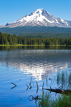 Mount Hood, part of the Cascade Range, perfectly reflected in the still waters of Trillium Lake, Oregon, United States of America, North America