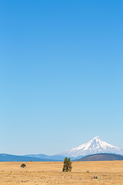 Central Oregon's High Desert with Mount Hood, part of the Cascade Range, Pacific Northwest region, Oregon, United States of America, North America