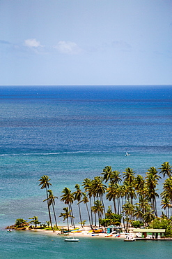 Tall palms on the small beach at Marigot Bay, St. Lucia, Windward Islands, West Indies Caribbean, Central America