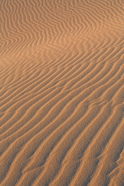 Sand textures on the dramatic Dunas de Corralejo in evening light on the volcanic island of Fuerteventura, Canary Islands, Spain, Europe