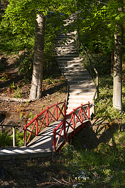Colourful wooden footbridge over a stream in the exotic Himalayan Gardens and Sculpture Park in a secluded valley in the county of Yorkshire, between Masham and Ripon.