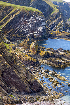 The coastline at St Abbs Head, a rugged promontory, which is a National Nature Reserve near Eyemouth in Scotland.