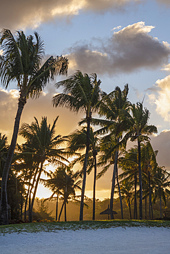 Sunset, through palm trees, over an empty beach in Trou d'Eau Douce, on the exotic island of Mauritius in the Indian Ocean