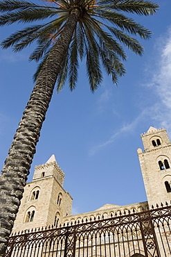 Palm tree and cathedral, Piazza Duomo, Cefalu, Sicily, Italy, Europe