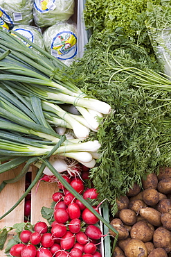 Vegetables including spring onions, potatoes and radishes on market stall, Old Town, Prague, Czech Republic, Europe