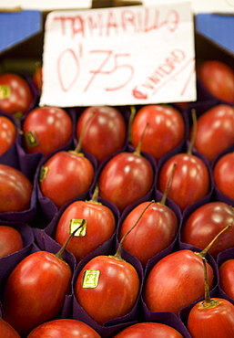 tamarillo, Mercado Central, central market, Valencia, Mediterranean, Costa del Azahar, Spain, Europe