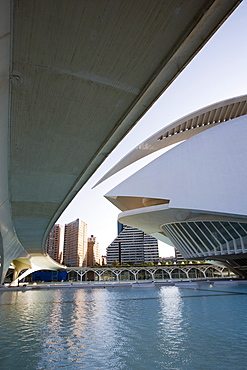 Palau de les Arts, Ciutat de les Arts i de les Ciencies (City of Arts and Sciences), architect Santiago Calatrava, Valencia, Costa del Azahar, Spain, Europe