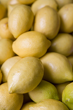 Lemons on market stall, Mercado Plaza Mossen Sorell, Valencia, Mediterranean, Costa del Azahar, Spain, Europe