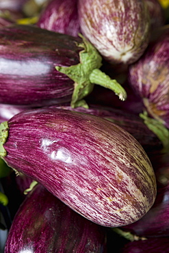 Aubergines on market stall, Mercado Plaza Mossen Sorell, Valencia, Mediterranean, Costa del Azahar, Spain, Europe