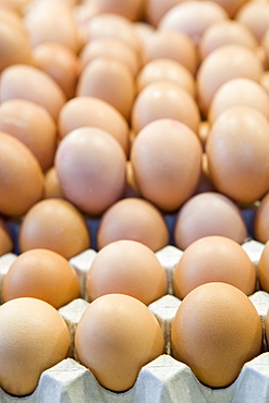 Free range eggs for sale, Mercado Central (Central Market),  Valencia, Mediterranean, Costa del Azahar, Spain, Europe