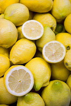 Lemons for sale, Mercado Central (central market), Valencia, Mediterranean, Costa del Azahar, Spain, Europe