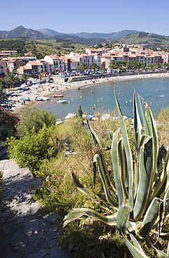 Plage de Port d'Avall, beach, Collioure, Pyrenees-Orientales, Languedoc, France, Europe