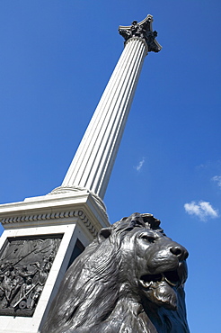 Nelson's Column, Trafalgar Square, London, England, United Kingdom, Europe