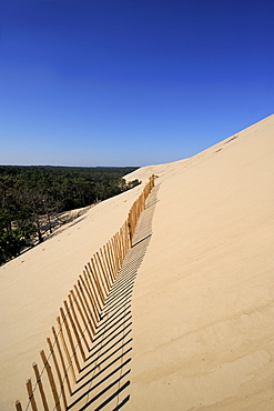 Dunes du Pyla, Bay of Arcachon, Cote d'Argent, Aquitaine, France, Europe