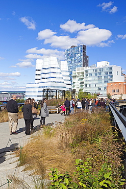 People walking on the High Line, a one mile New York City park, New York, United States of America, North America