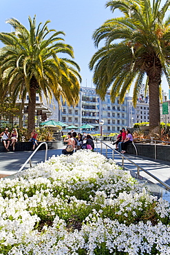 Union Square, Downtown, San Francisco, California, United States of America, North America