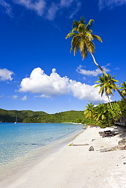 Cinnamon Bay beach and palms, St. John, U.S. Virgin Islands, West Indies, Caribbean, Central America