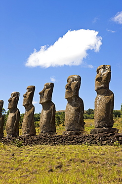 Ahu Tongariki, the largest ahu on the Island, Tongariki is a row of 15 giant stone Moai statues, Rapa Nui (Easter Island), UNESCO World Heritage Site, Chile, South America