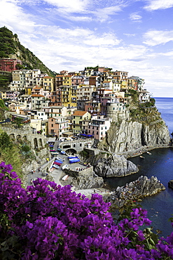 Manarola, Cinque Terre, UNESCO World Heritage Site, Liguria, Italy, Europe