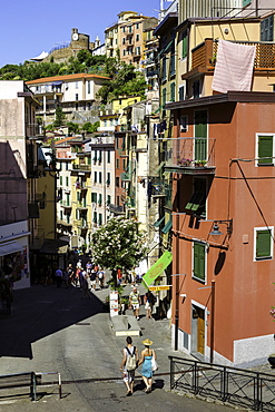 Narrow streets in the clifftop village of Riomaggiore, Cinque Terre, UNESCO World Heritage Site, Liguria, Italy, Europe