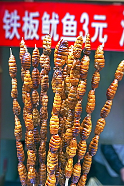 Larvae on skewers for sale at Dong Hua Men night market, Beijing, China, Asia