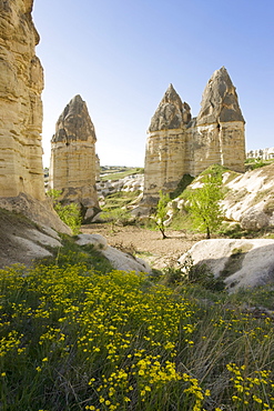 Phallic pillars known as fairy chimneys in the valley known as Love Valley near Goreme in Cappadocia, Anatolia, Turkey, Asia Minor, Eurasia