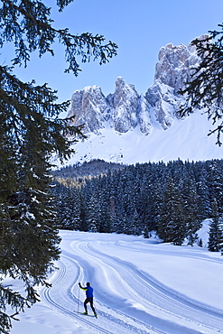 Man cross-country skiing, Puez Odle National Park, Dolomites, South Tirol, Trentino-Alto Adige, Italy, Europe