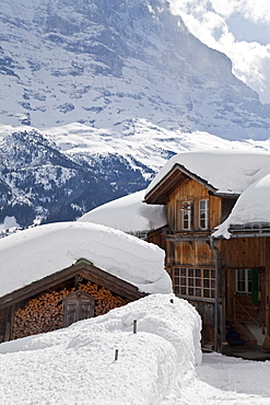 Grindelwald and the Wetterhorn mountain, Jungfrau region, Bernese Oberland, Swiss Alps, Switzerland, Europe