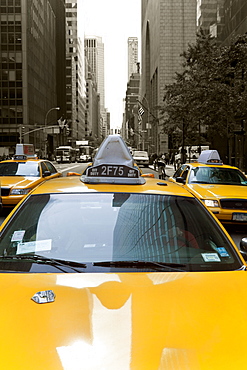 Yellow taxis along Fifth Avenue, Uptown Manhattan, New York City, New York, United States of America, North America