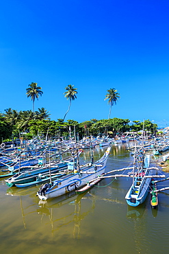 Fishing boats near Galle, Sri Lanka, Asia