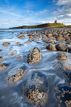 Dunstanburgh Castle from the rocky shores of Embleton Bay, Northumberland, England, United Kingdom, Europe