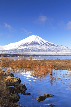 Mount Fuji, UNESCO World Heritage Site, and Lake Yamanaka, Yamanashi Prefecture, Honshu, Japan, Asia