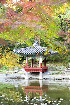 Secret Garden in Changdeokgung Palace, UNESCO World Heritage Site, Seoul, South Korea, Asia