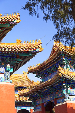 Confucius Temple, Beijing, China, Asia