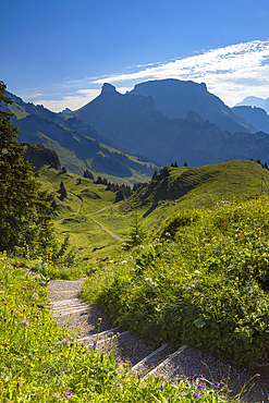 Hiking trail at Schynige Platte, Jungfrau Region, Bernese Oberland, Switzerland