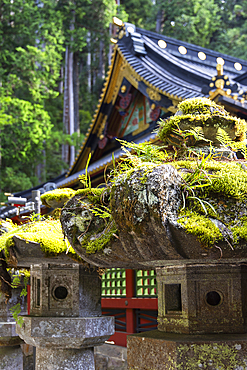 Stone lanterns at Futarasan Temple (UNESCO World Heritage Site), Nikko, Tochigi, Japan