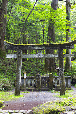 Fertility stone and tori gate at Takino'o Shrine of Futarasan Temple (UNESCO World Heritage Site), Nikko, Tochigi, Japan