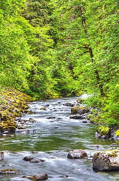 Sol Doc River, Olympic National Park, UNESCO World Heritage Site, Washington, United States of America, North America