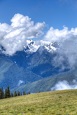 Hurricane Ridge, Olympic National Park, UNESCO World Heritage Site, Washington, United States of America, North America