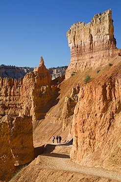 Hiking the Queens Garden Trail, Bryce Canyon National Park, Utah, United States of America, North America