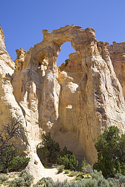 Grosvenor Arch, Grand Staircase-Escalante National Monument, Utah, United States of America, North America